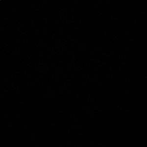 Meet your Posher, Riley